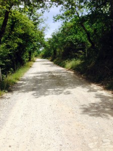 Le Strade Bianche del Chianti Le Strade Bianche del Chianti